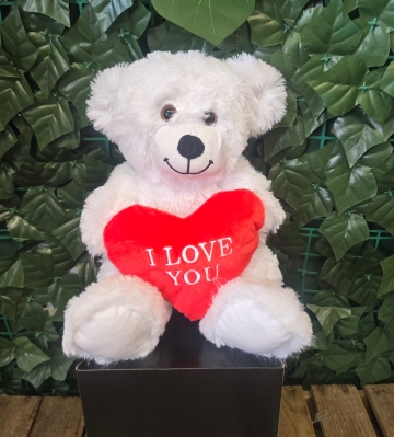 Love Heart Teddy