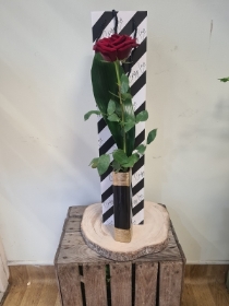 Crazy Love Rose with Vase